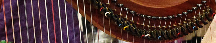 close up of a harp. 