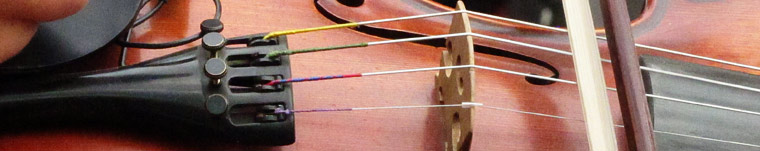 close up of a fiddle. 