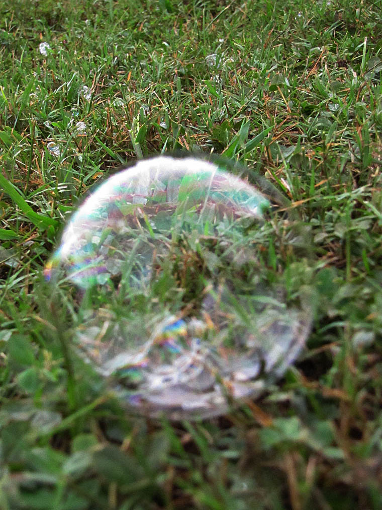 big bubble on grass