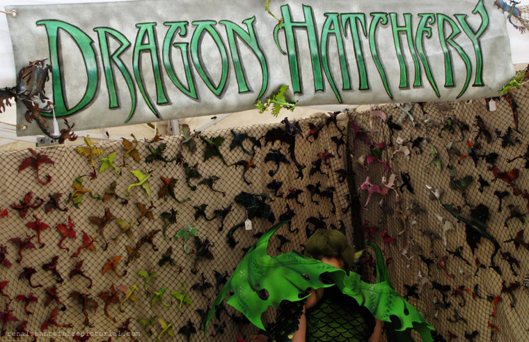 Dragon Hatchery