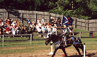 jousters in combat