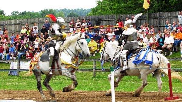 freelaners jousting