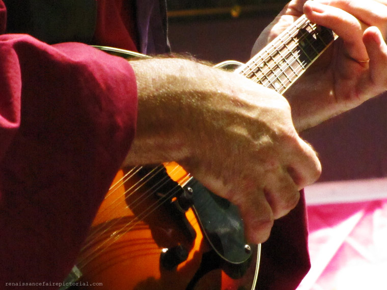 mandolin player