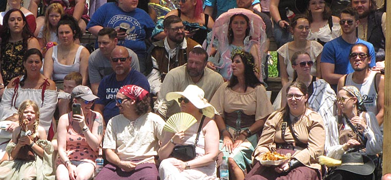 A large crowd on beanches wating a joust.