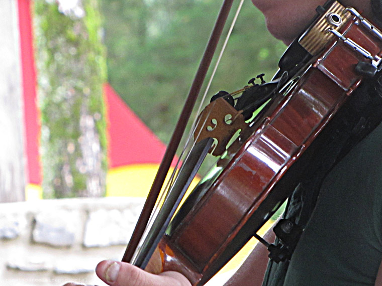 fiddle