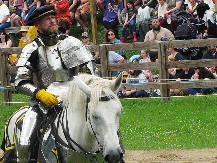 A knight.