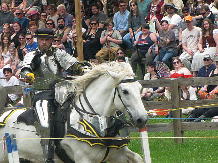 Knight on horseback