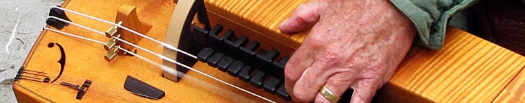 close up of a stringed instrument. 